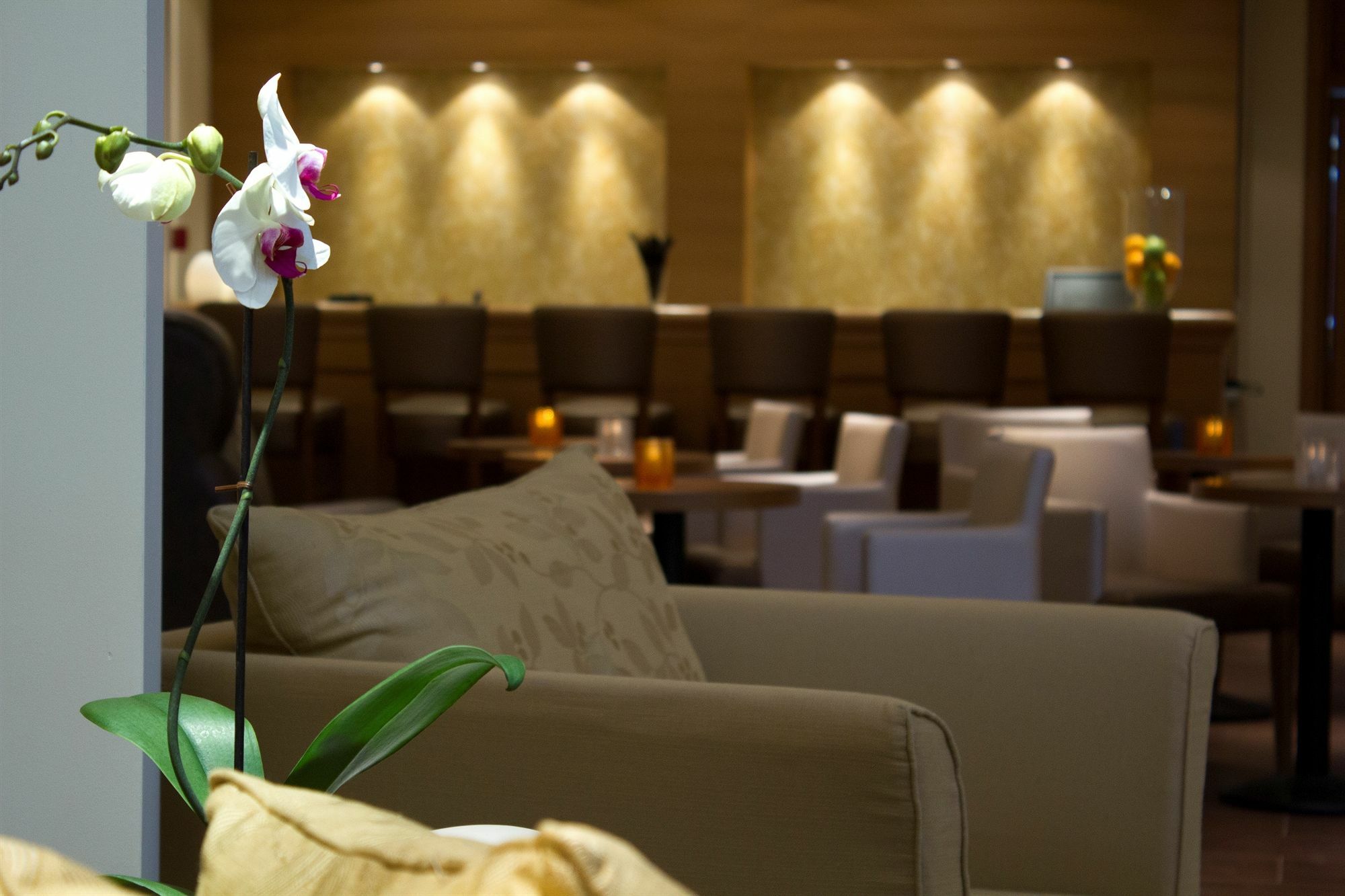 Tripoli City Hotel Экстерьер фото